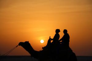 Voyage.....